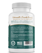 Ginkgo Biloba - Ancient Wisdom